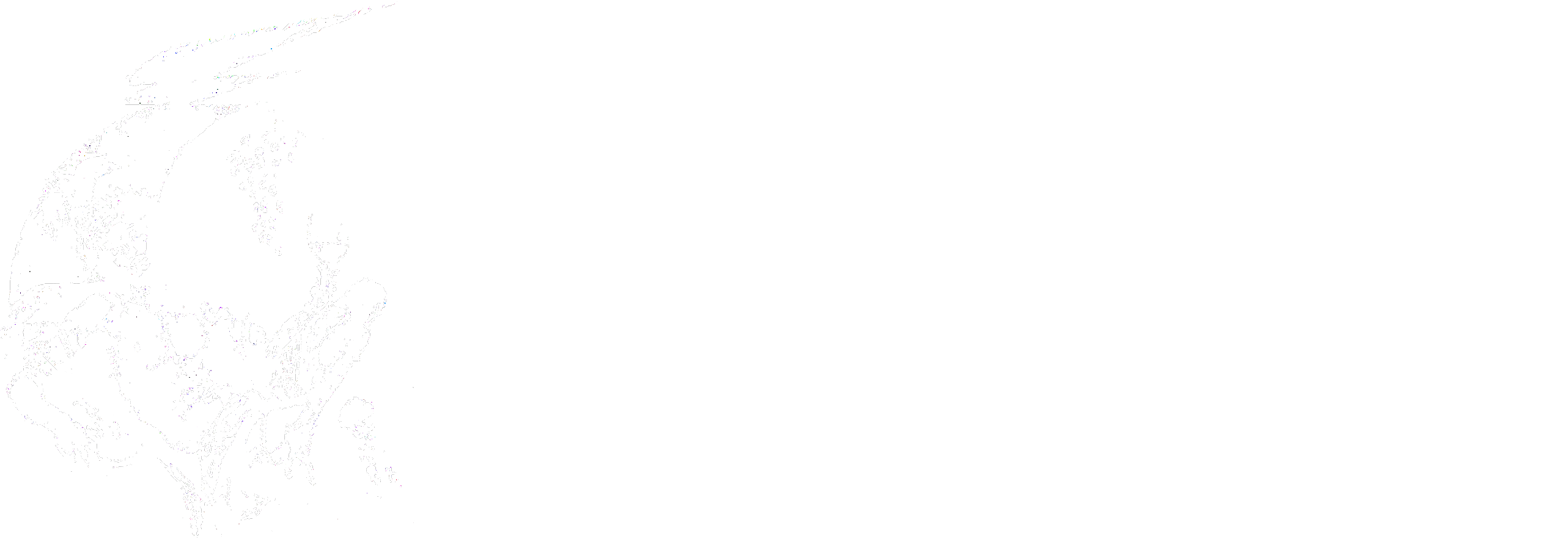 nysus pro